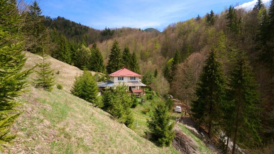 Casa Dambovicioara - CASA de vacanta sau PENSIUNE profitabila - Poză 10