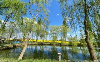 Vila individuala /proiect deosebit - Poză 11