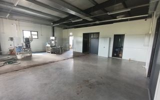 Spațiu comercial, producere+plantație de aronie, Timiș - Poză 8