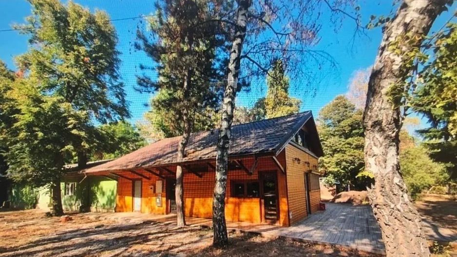 Vanzare sau inchiriere | Herastrau | restaurant cu terasa - Poză 2