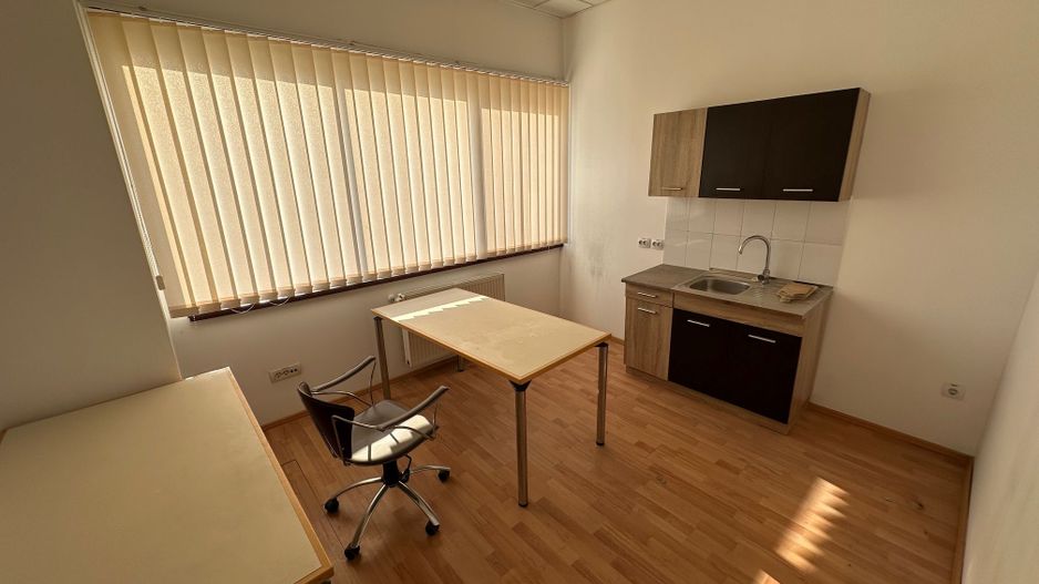 Spatiu productie/ depozitare  zona Sagului - Poză 8