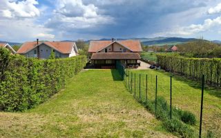 Duplex Zona Linistita Carpinis - Poză 7