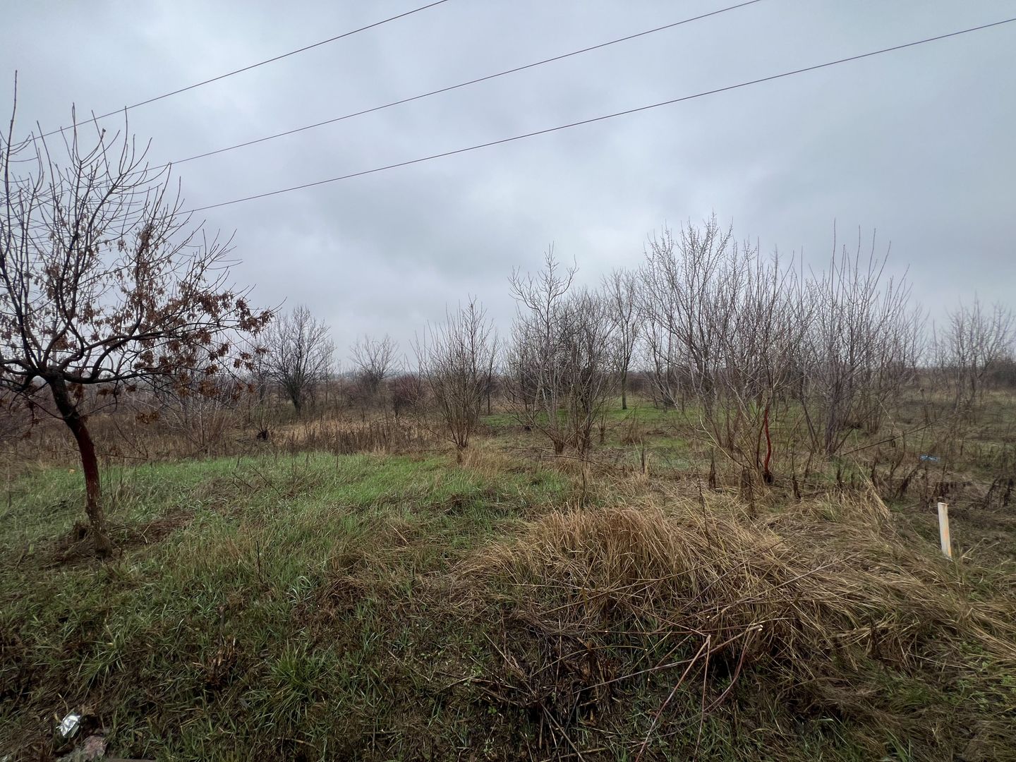 Teren la DN7 - ideal investitie (Benzinarie, spalatorie, hala) - Poză 7