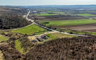 Oportunitate Investitie! Proprietate comerciala/industriala în Paulis - Poză 3