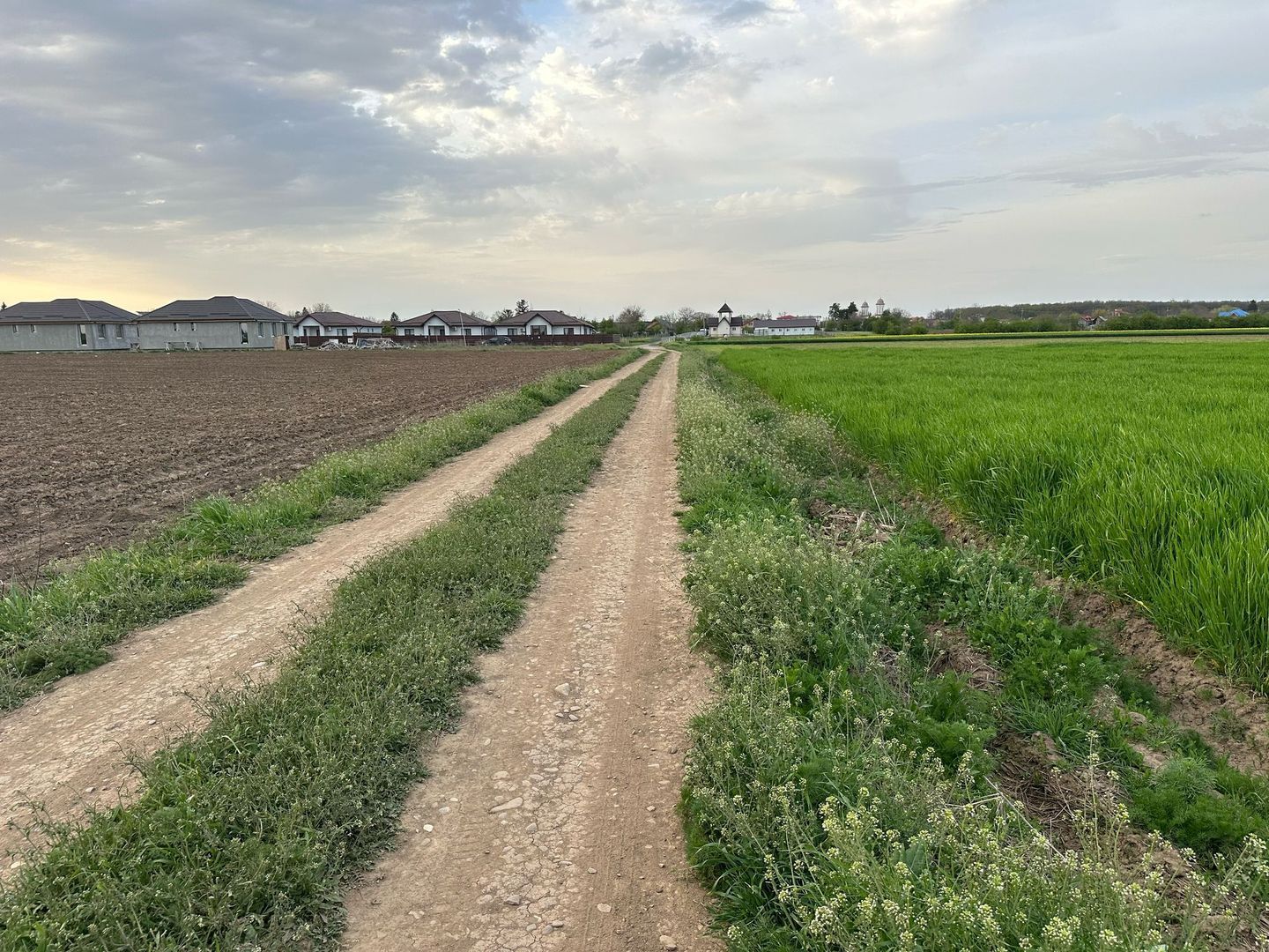 Teren intravilan cu destinatie rezidentiala 7.458 mp Balotesti - Poză 3