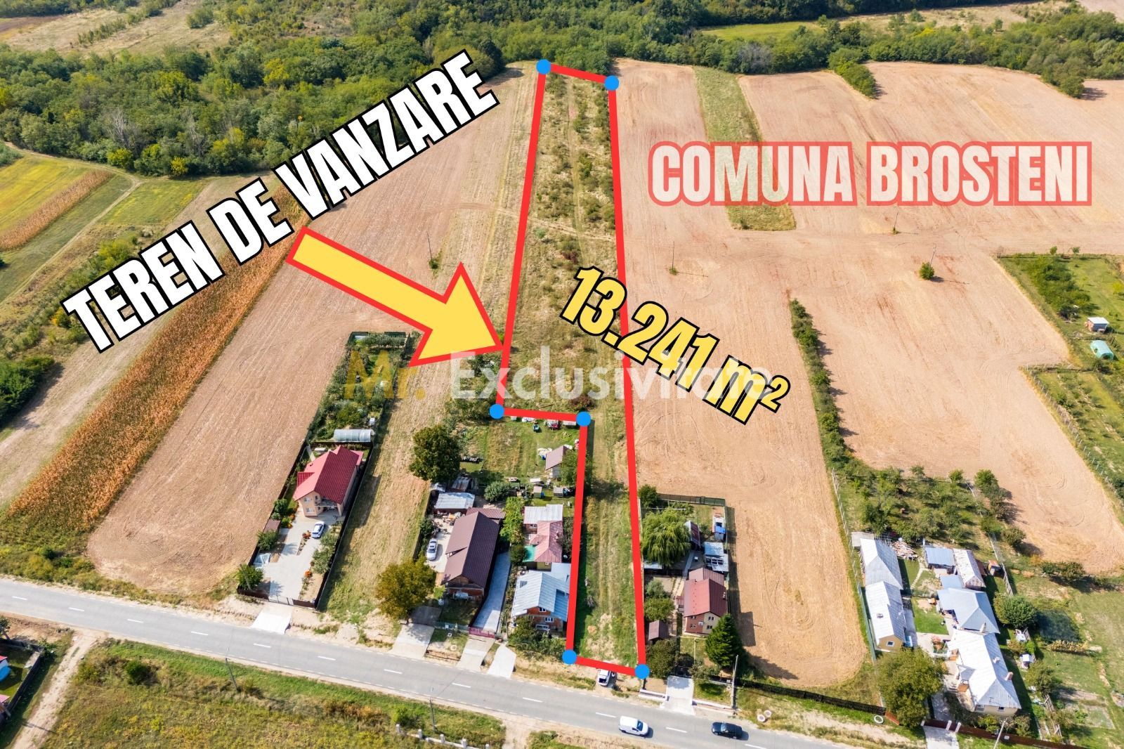 🏭 Teren industrial 13.241 mp | Costești, Argeș - Poză 1