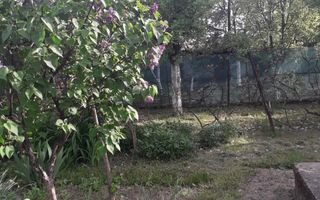 Vând casă cu teren mare 33,3 ari zona Baritiu - Poză 5