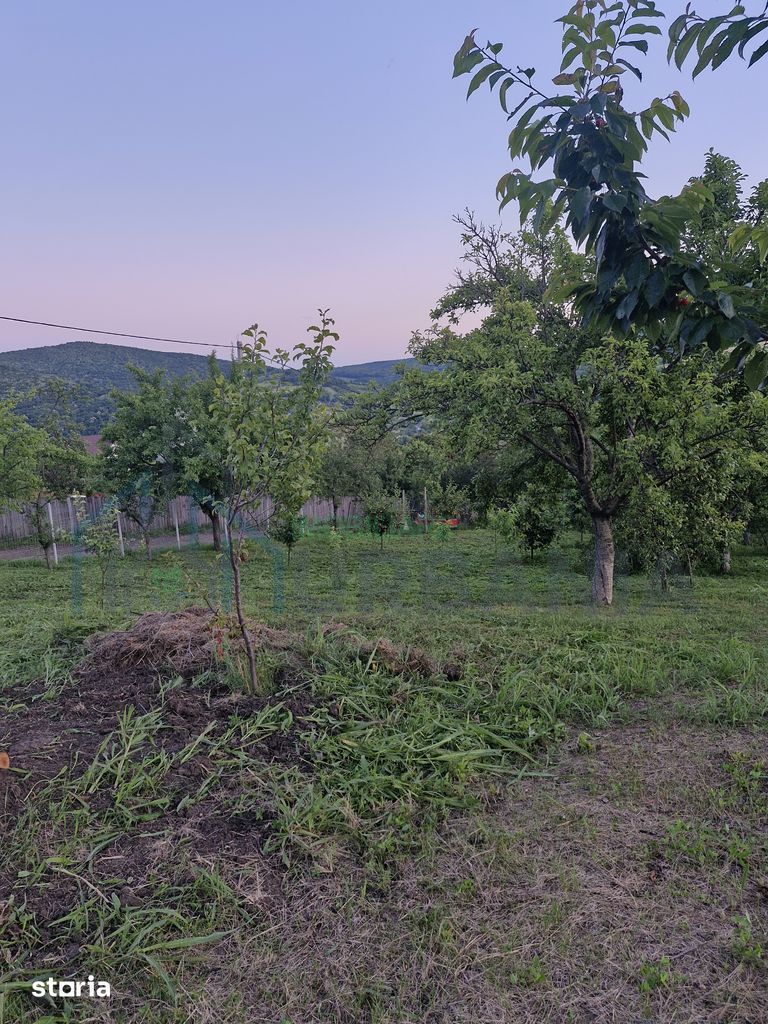 Teren intravilan de vanzare, Chicerea, 740 mp, strada Canarului, Tomesti - Poză 5