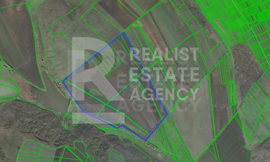 Vânzare, teren, 110 ha, sat. Țînțăreni, Anenii Noi - Poză 2