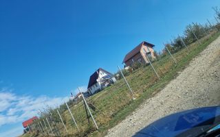 Teren extravilan | 650 MP | Oportunitate de Investiție | Șura Mare - Poză 1