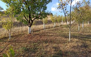 Teren intravilan 730 mp-livada-vedere panoramica-Valea Sigmirului - Poză 5