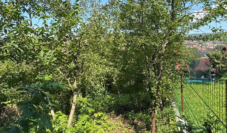 Teren cu casa demolabila - 547MP - Gruia - Poză 3