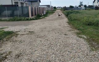 Teren intavilan 450mp in zona Ciorogarla - Poză 7