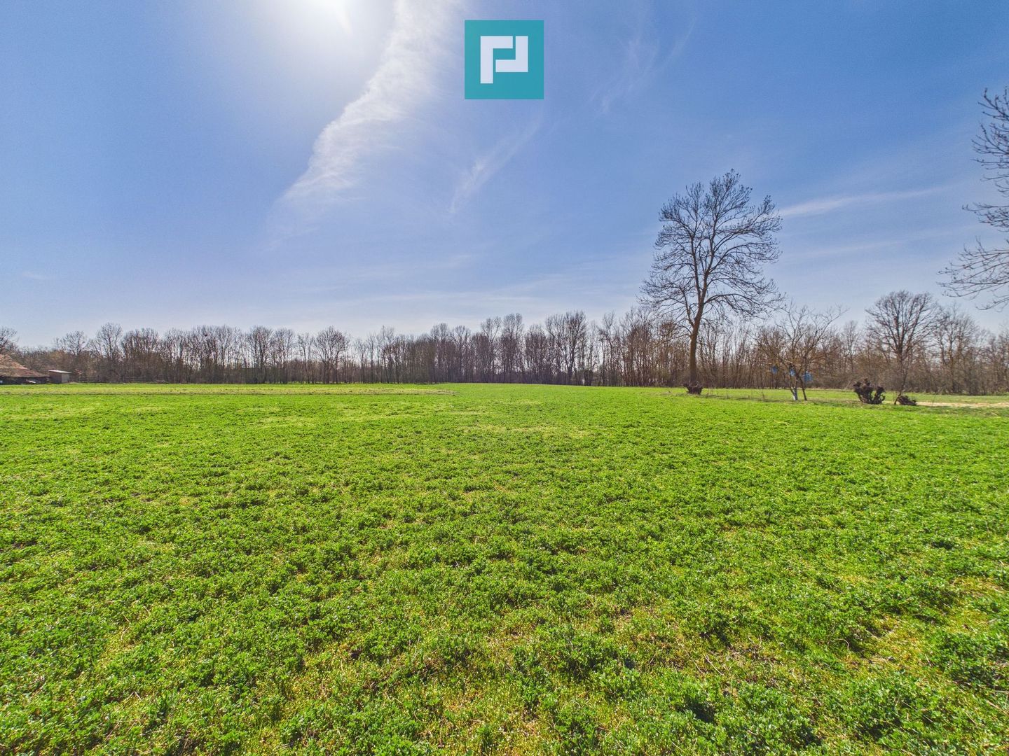 Casă cu teren generos de 6.000 m² - Poză 16