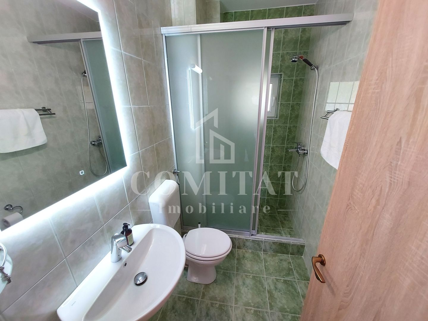 Vilă în Făget | Sediu companie | 2.412 mp teren 8 parcări - Poză 28