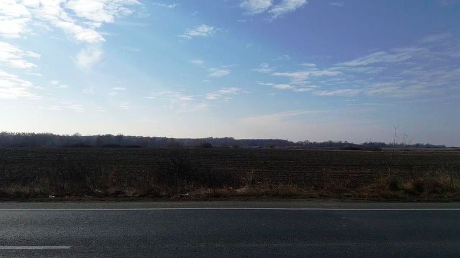 Teren industrial zona Remetea Mare - Poză 2