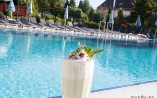 HOTEL SILVER– PRIME HOSPITALITY ASSET 4★ Operational - Poză 16