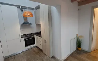 Apartament “de revista”, la casa in Elisabetin- zona consulatelor. - Poză 18