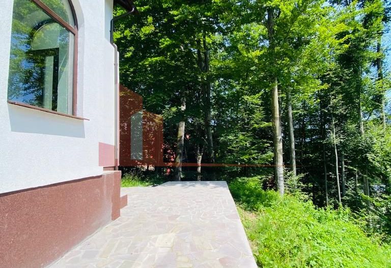 Vila Sinaia - Poză 11