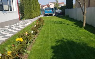 Vila de vanzare zona Metro/Arcasilor - P+1E+M - Poză 5