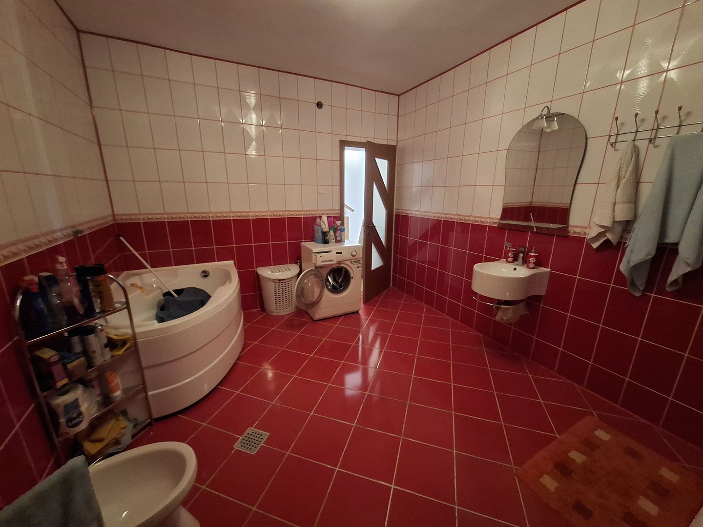 🏡 Casă de vânzare – Nicolae Bălcescu, la E85 - Poză 20