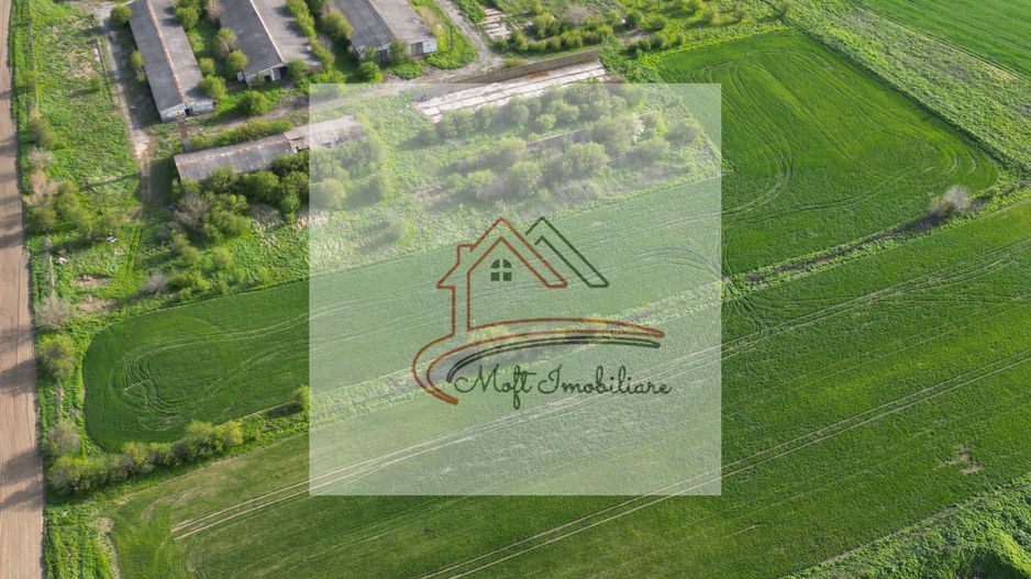 Oportunitate Investiție – Fermă 9,5 Ha cu 10.000 mp Construcții - Poză 4