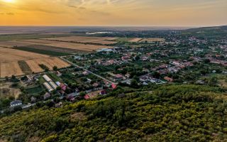 Teren pe deal, 1.150 mp, în Miniș, front 26 m, Drumul Vinului - Poză 9