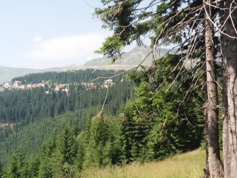 Cabană în Rânca cu 500 mp teren și panoramă impresionantă - Poză 5