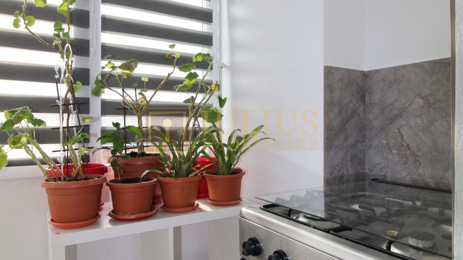 Lipovei, 3 camere, centrala proprie, pet-friendly - Poză 11