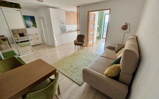 3 camere open space, USAMV, Parcare, Frunzisului, Lidl, Zorilor - Poză 1