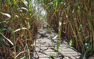 NOU-VILA 6 CAMERE SNAGOV IZVORANI LAC -TEREN 1800mp - Poză 12