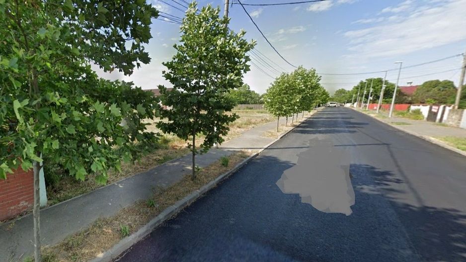 Teren 7381 m I Buftea Macului I zona de case - Poză 2