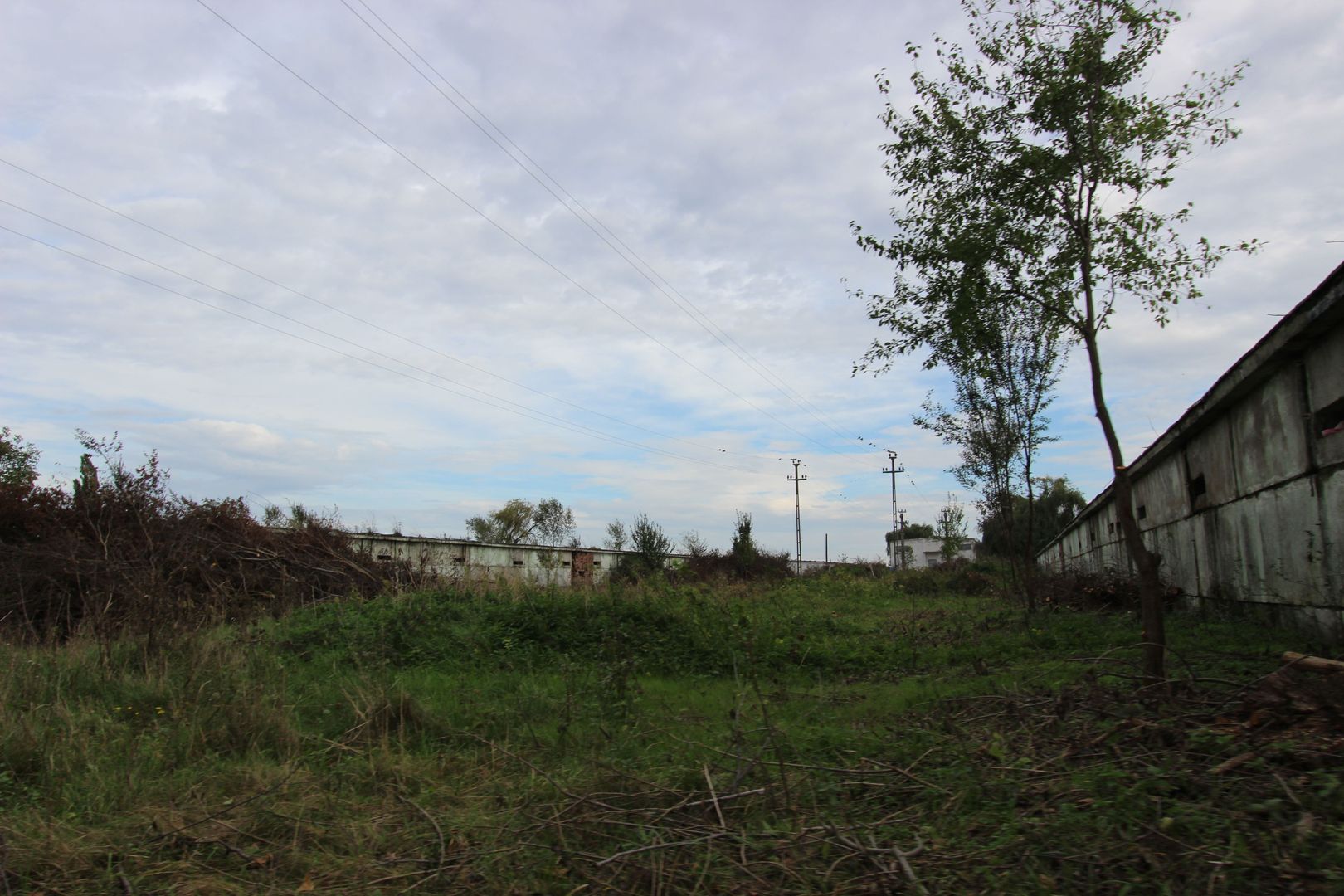 Vanzare hale Mosnita Noua-fosta Ferma 7 - Poză 16