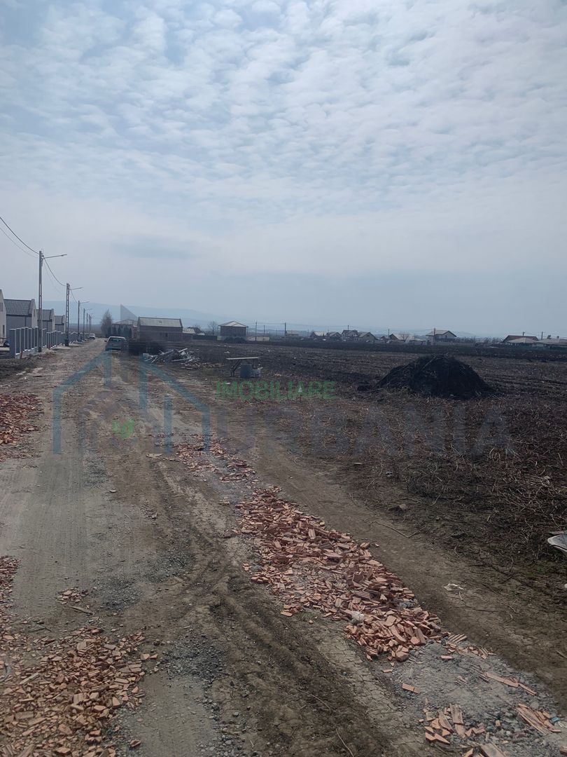 Teren intravilan aronianu - Poză 6