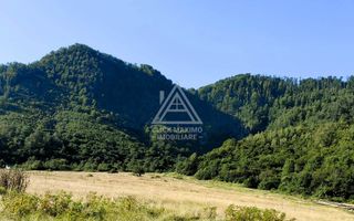 240 Hectare Pădure Valea Oltului Resurse Naturale Potențial Turistic - Poză 3