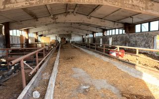 Fermă Sărand | Bihor | 25.659 mp teren intravilan - Poză 10