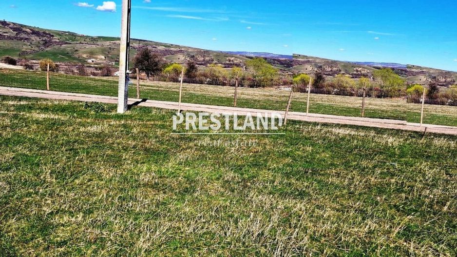 Teren situat în Daia Nouă!! - Poză 3
