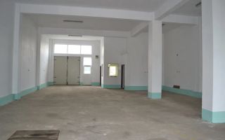 Spatiu Comercial - Terezian - 400mpu - 577mp Teren - Parcare proprie - Poză 4