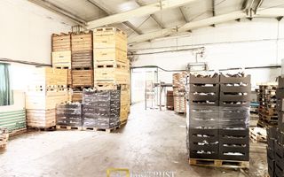 Hala industrială de vanzare Arad 540 mp, depozitare la rece, acces TIR - Poză 7