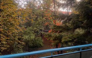 Apartament 3 camere zona Medicina - Poză 7