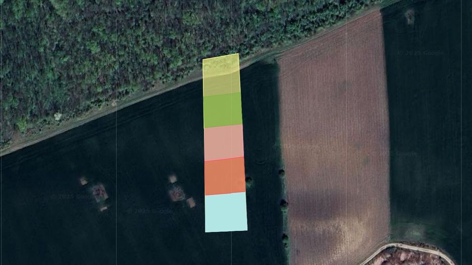 Lot 1000 mp in umbra padurii cu view la lacul academiei din Caciulati - Poză 4