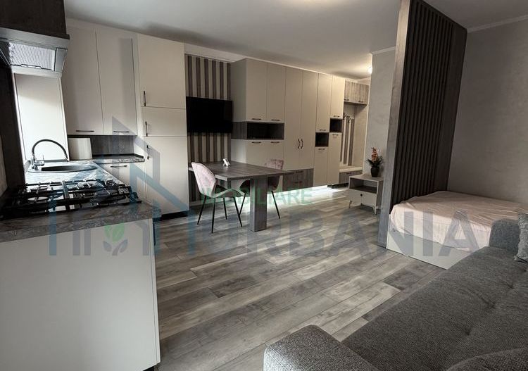 Inchiriez garsoniera Rediu - Poză 7