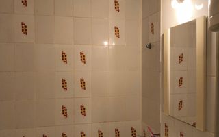 Garsonieră cu vedere la Parcul Natural, 100m de Dunăre - Poză 7