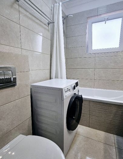 Ion Mihalache (1 Mai)- Ciuperca- Av Popisteanu- Expozitiei- Domenii - Poză 8