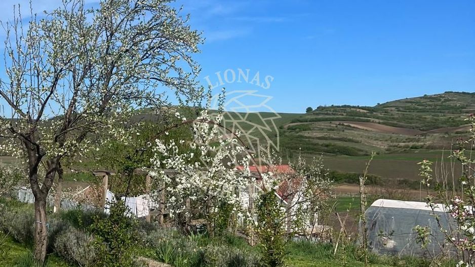 Casă ecologică 113 mp utili cu utilitati  + Teren 3100 mp, Balda, județul Mures - Poză 16