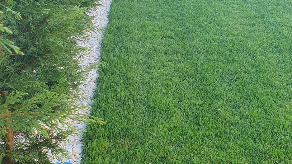 Casa individuala Dumbravita - Pădure - Poză 24