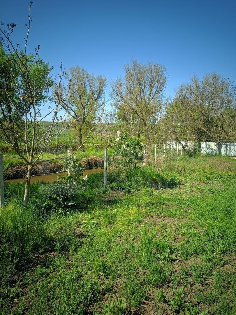 Vânzare, casă, com. Boșcana, r-nul Criuleni - Poză 6