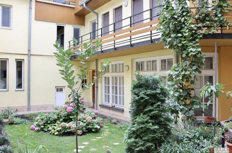 Casa de inchiriat in zona Lipovei - Pomiculturii. Curte comuna, ctr. Anaf. - Poză 2