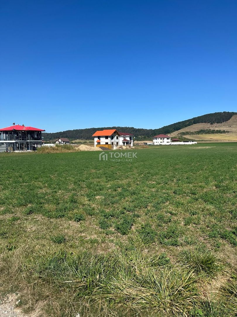 Teren intravilan Sanpetru Lempes str Dealului - Poză 6