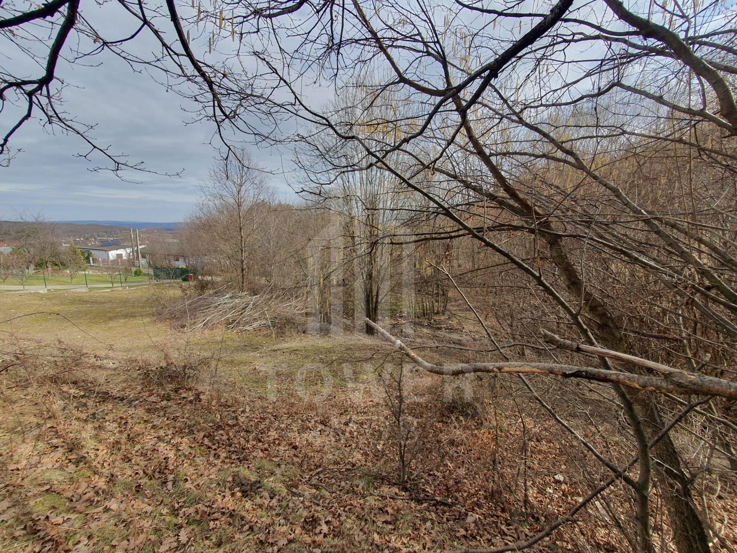 Teren Intravilan 2.938 mp | Tocile - Poză 10